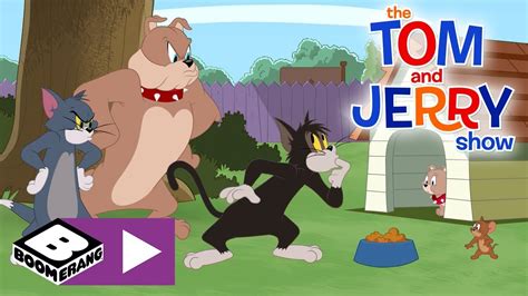 youtube tom og jerry